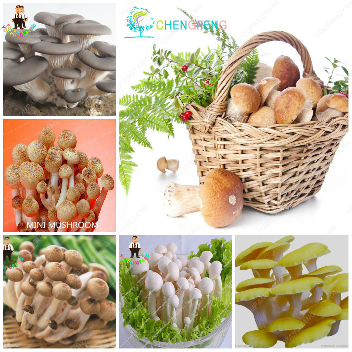 100pcs Edible Mushroom Easy To Cultivate Nutritious Vegetable Ideal For Indooroutdoor Landscaping Succulent Greenery - 1