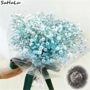 200 Pcs Blue Gypsophila Paniculata Bonsai Garden Multi-color Sky Flower Ornaments Plant Natural Growth Wedding - 2