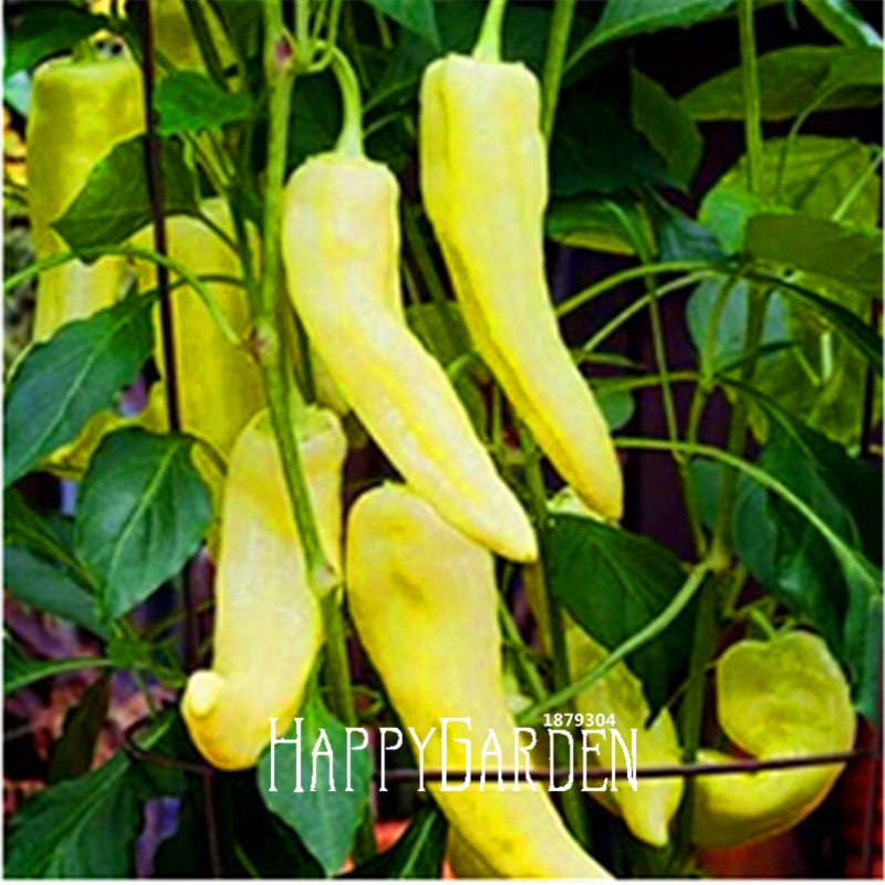 Spicy Chilli Pepper Capsicum Variety Pack 16 Types Ideal For Balcony Kitchen And Indoor Growing - 1