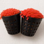 500pcs Aquarium Bonsai Plants Water Grasses Decorative Landscaping Turf Planting Indoor Home Garden - 2