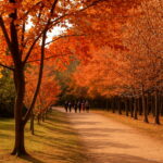 20 Pcs Pack Japanese Red Maple Rare Rainbow Color Beautiful Japan Plants Garden Watch Bonsai Tree - 5