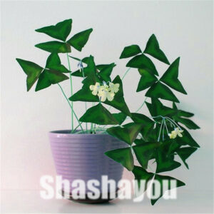 Oxalis Wood Sorrel Flower Purple Shamrock Clover 100% Real Bonsai Plant Perennial Outdoor Home Garden 100 Pcs - 2