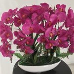 100pcsseedsbag Hydroponic Orchid Bonsai Indoor Flowers Plants Four Seasons Phalaenopsis Orchids Home Gard - 5