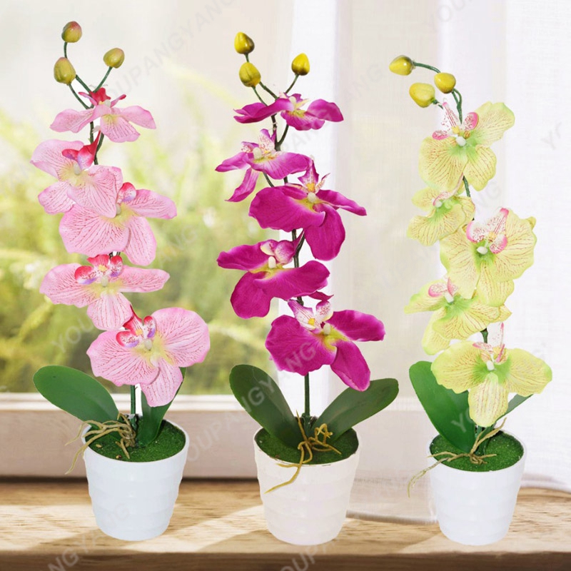 100piece Hydroponic Orchid Set Indoor Floral Decor Four Seasons Phalaenopsis Easygrow Kit - 16