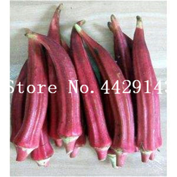 50 Pack Okra Seeds Edible Organic Nongmo Fruit Vegetable Flower Easytogrow Kitchen Greens - 5