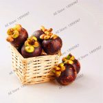 Fruit Queen Purple Thailand Mangosteen Garden White Meat Food Tropical Plant Bonsai Flowers Pots 10 Pcs - 3