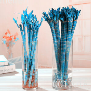 50 Pcs Rainbow Bamboo Bonsai Seedling Lucky Moso Tree Plant Home Amp Garden Potted Plants Budding Rate 97% - 2