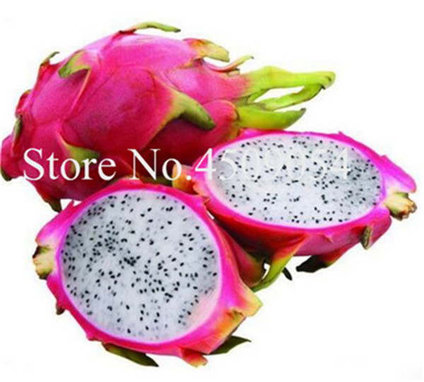 100 Pcsbag Pitaya Fruit Trees Perennial Sweet Dragon Flores Succulent Seeds For Indoor Greenery - 3