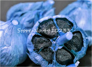 50 Pcs Rare Green Garlic Healthy Bonsai Diy Plant Onion Garlics Vegetable Easy Grow Home Garde - 2