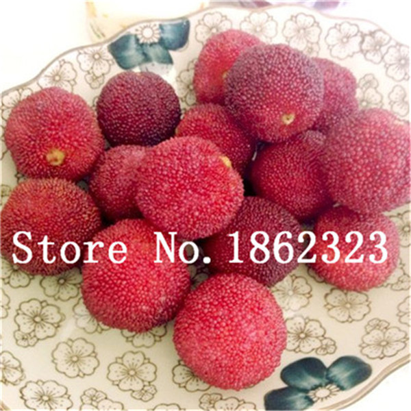 10pcs Sweet Rubra Bag Rare Organic Exotic Tropical Fruit Tree Edible Chinese Strawberry Ideal For Indoor Decorations And Edible Landscaping - 3