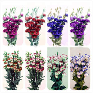 100pcs Eustoma Bonsai Seedsplants Perennial Flowering Plants Balcony Potted Flowers Lisianthus Home Garden