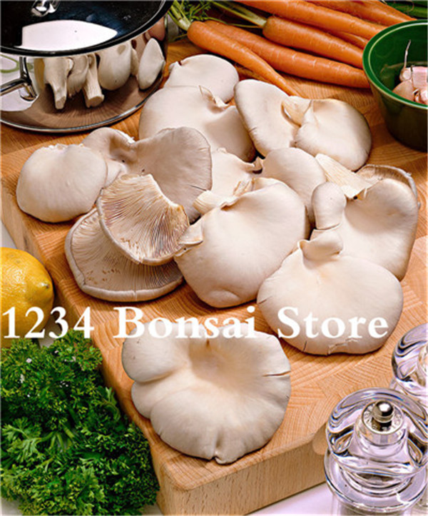 100 Pcs Giant Edible Mushrooms Organic Nutritious Perfect For Farming Unique Succulent Vegetable Variety - 1