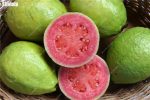 100 Pcs Bag Guava Bonsai Delicious Tropical Fruit Potted Non Outdoor Plants Tree Home Garden Planting - 3