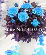 150 Pcs Unique Roses Bonsai Plant Vary Colors Selection Garden Flowers Mini Pot - 5
