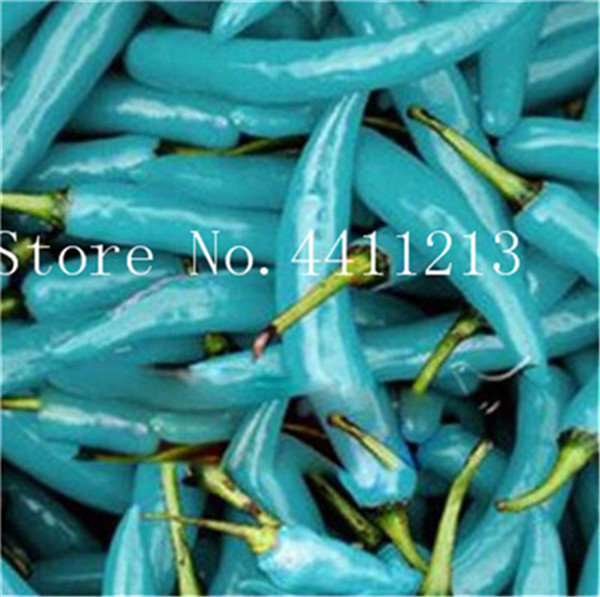 200 Pcs Mega Spice Red Chili Pepper Seeds For Balcony Courtyard And Outdoor Landscaping - 6
