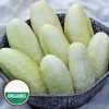 Cucumber Seeds-3