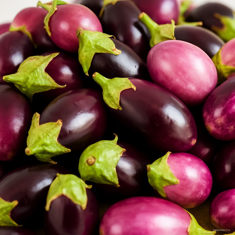 200pcsbag Mixed Species Eggplant Bonsai Organic Vegetable Non Gmo