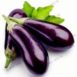 200pcsbag Mixed Species Eggplant Bonsai Organic Vegetable Non Gmo Outdoor Plant Flores Home Garden Diy - 2