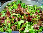 100 Pcs 2018!mesclun Mix Lettuce Salad Easy To Grow Vegetable Garden - 3