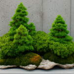 Juniper Bonsai Tree Potted Flowers Purify Air Absorb Harmful - 6