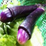 100 Pcs Bonsai Delicious Vegetable Cucumber Eggplant Pepper Pumpkin Cabbage Shallot Carrot Tomato Balcony Garden Four Season Pot - 4