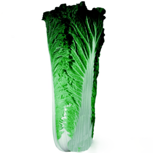 Bonsai Cabbage Green Leaves Chinese Vegetables 100pcspack