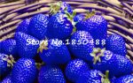 300pcs Sweet Blue Strawberry Bonsai Fruit Vegetable Plants Edible Nutritious Amp Juicy Indoor Balcony Planters - 4