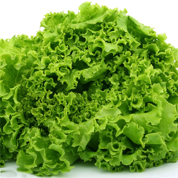 1000 Pcs Greek Lettuce Kit Easy Diy Salad Vegetable Herb For Indoor Greenery - 3