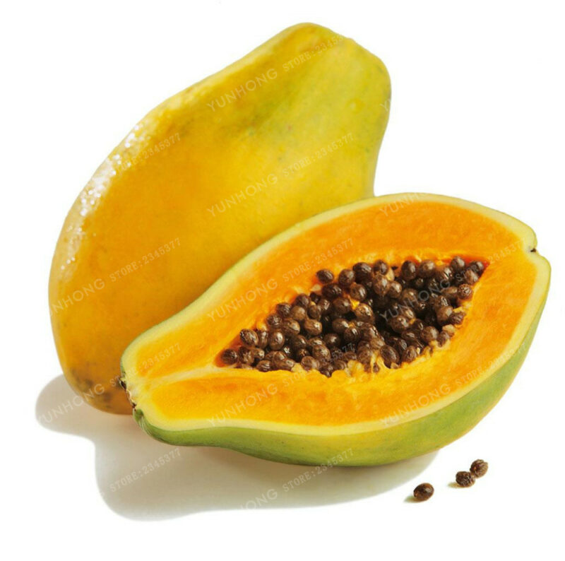 Tropical Organic Papaya Seeds Pack Of 20 Free Shipping Worldwide