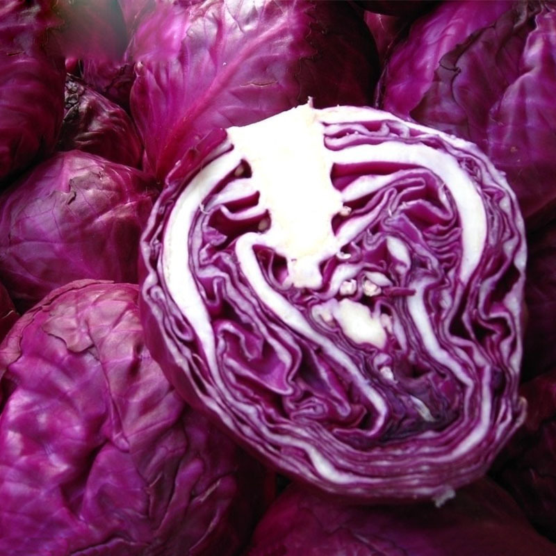 Quality Purple Cabbage Seeds High Yield Easy To Grow 200pcs For Sustainable Farming Ecofriendly Agriculture - 1