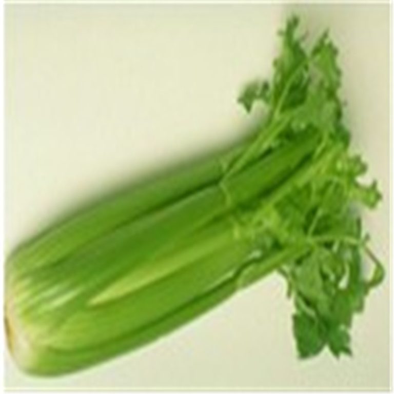 Celery Seeds at Free Shipping & Up to 70 OFF