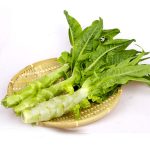 Asparagus Seeds 100Pcs - 4