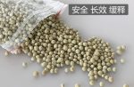 Japanese Slow Release Orchid Granular NPK Fertilizer 150g/pack - 2