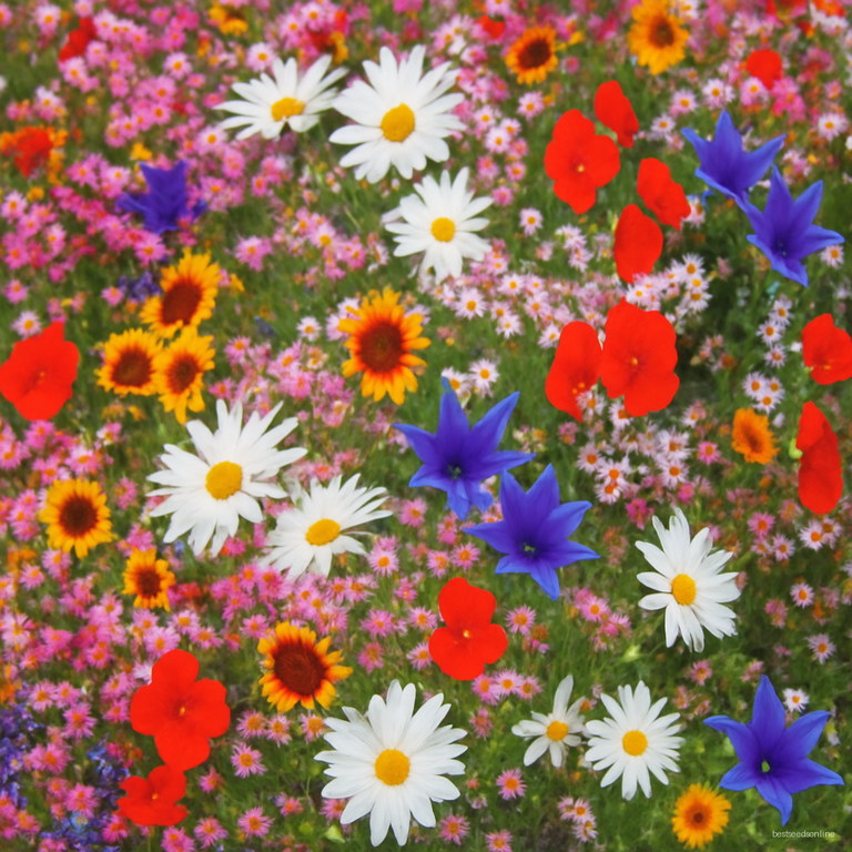 200pcs Mixed Wildflower Seeds For Landscaping