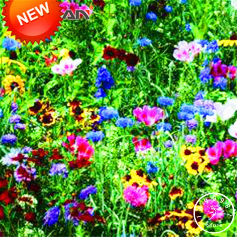 200pcs Mixed Wildflower Seeds For Landscaping Free Shipping Worldwide