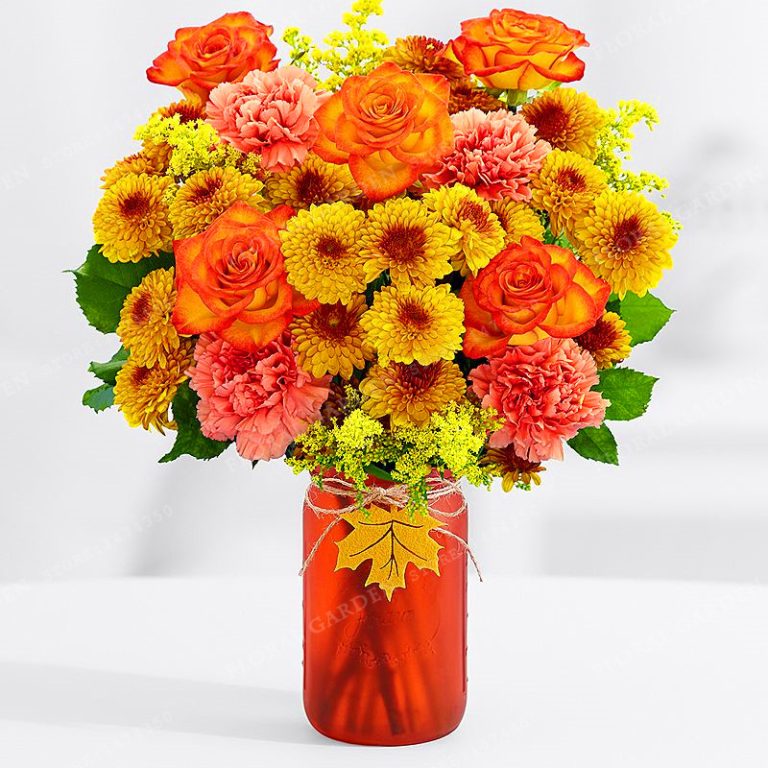 Carnation Seeds at Free Shipping & Up to 70 OFF