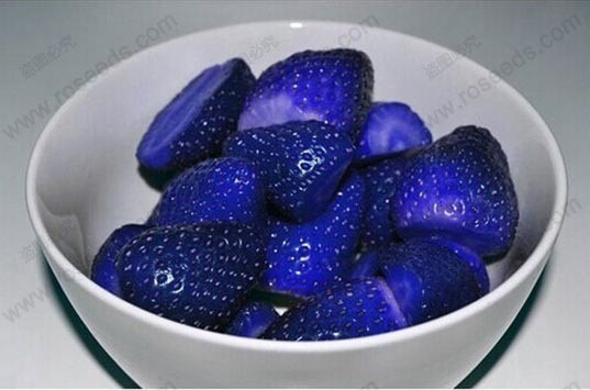 Lush 50piece Pack Of Rare Blue Strawberry Seeds For Unique Fruit Cultivation - 2