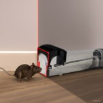 Reusable Smart Mouse Trap Humane Clear Plastic No Kill Rodents Catcher - 4