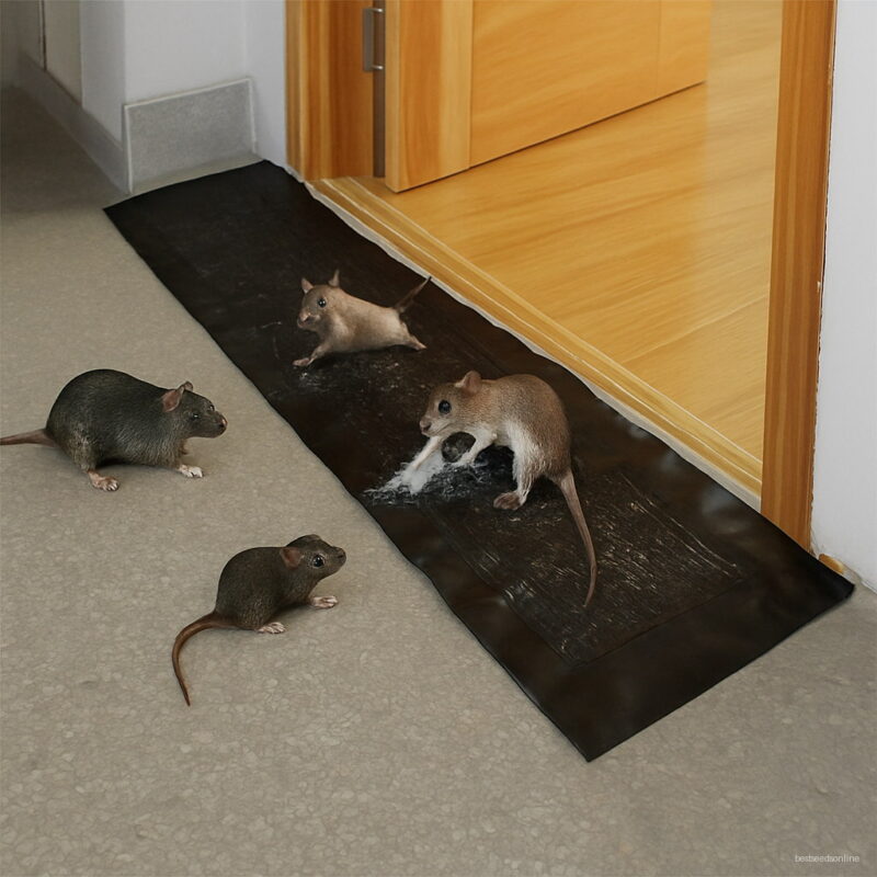 1 2m Mouse Board Sticky Rat Glue Trap Mice Catcher Non-toxic Pest Control Reject Killer Xnc