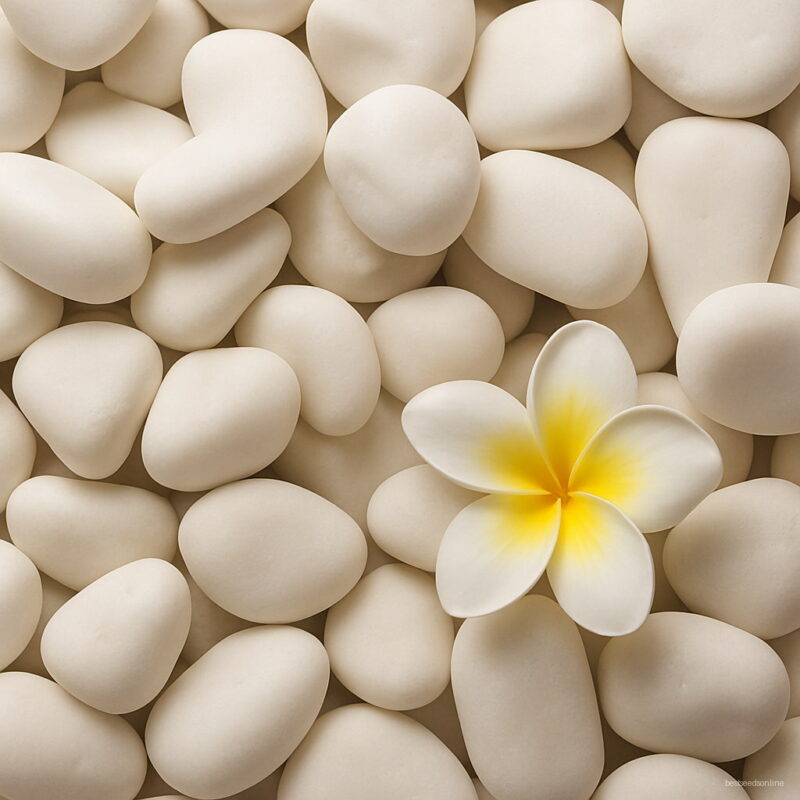 White Small Stones Garden Decoration Hydroponic Plants Flower Pot Stone Gardening Decor 100g