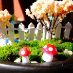 Hot 10pcs 2cm Artificial Mini Mushroom Miniatures Fairy Garden Moss Terrarium Resin Crafts Decorations Stakes Craft - 6