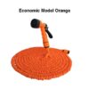 Economic Orange