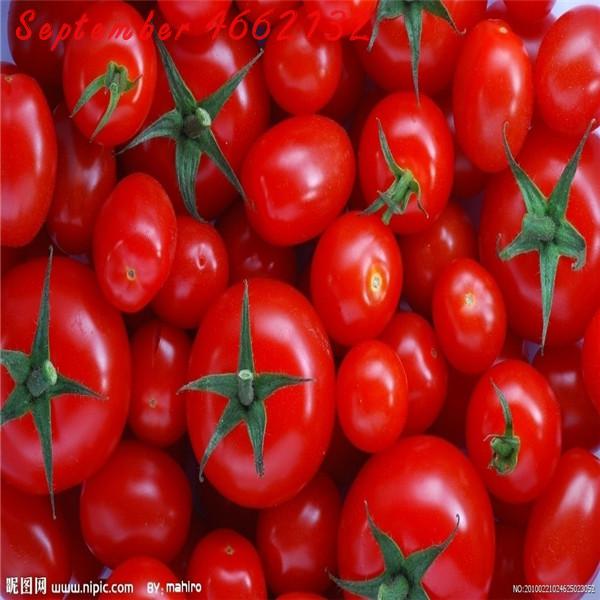 100pcs Heirloom Monster Tomato Fresh Vegetable Seeds Milk Red Cherry Variety - 8