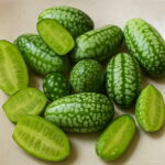 Hot 100 Pcs Thumb Watermelon Bonsai Cucumber Mini Pepkino Mexican Fruits And Vegetables Seeds - 3