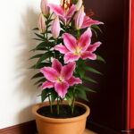 Hot 24 Colors Mini Lily Bonsai 100pcs Perfume Not Bulbs Flower Plant Home Garden Seeds - 4