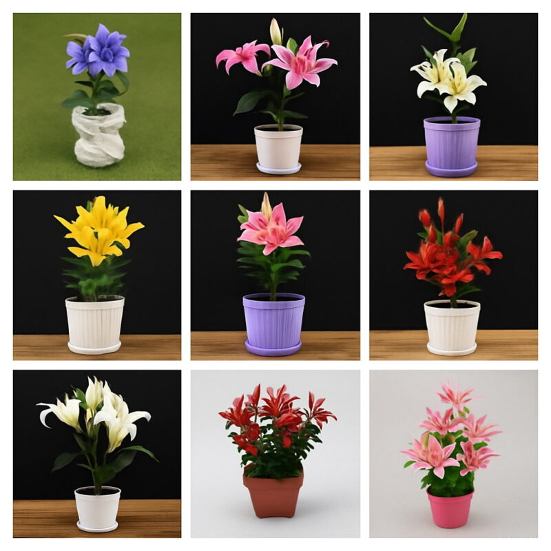 Hot 24 Colors Mini Lily Bonsai 100pcs Perfume Not Bulbs Flower Plant Home Garden Seeds