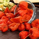 100 Pcs Red Currant Fruit Plant Pan-american Gooseberry Lantern Physalis Landscape Home Garden Flower Pot Planters Seeds - 5 100 Pcs Red Currant Fruit Plant Pan-american Gooseberry Lantern Physalis Landscape Home Garden Flower Pot Planters Seeds - 5