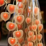 100 Pcs Red Currant Fruit Plant Pan-american Gooseberry Lantern Physalis Landscape Home Garden Flower Pot Planters Seeds - 2 100 Pcs Red Currant Fruit Plant Pan-american Gooseberry Lantern Physalis Landscape Home Garden Flower Pot Planters Seeds - 2