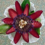 100 Pcs Imported Passion Flower Flores Vine Fruit Outdoor Potted Bloom Bonsai Plants Diy Home Garden Decor To Seeds - 6