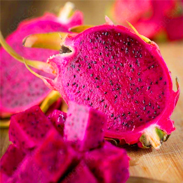 100 Pcs Dragon Fruit White And Red Pitaya Nongmo 100 Authentic Potted Seeds - 4